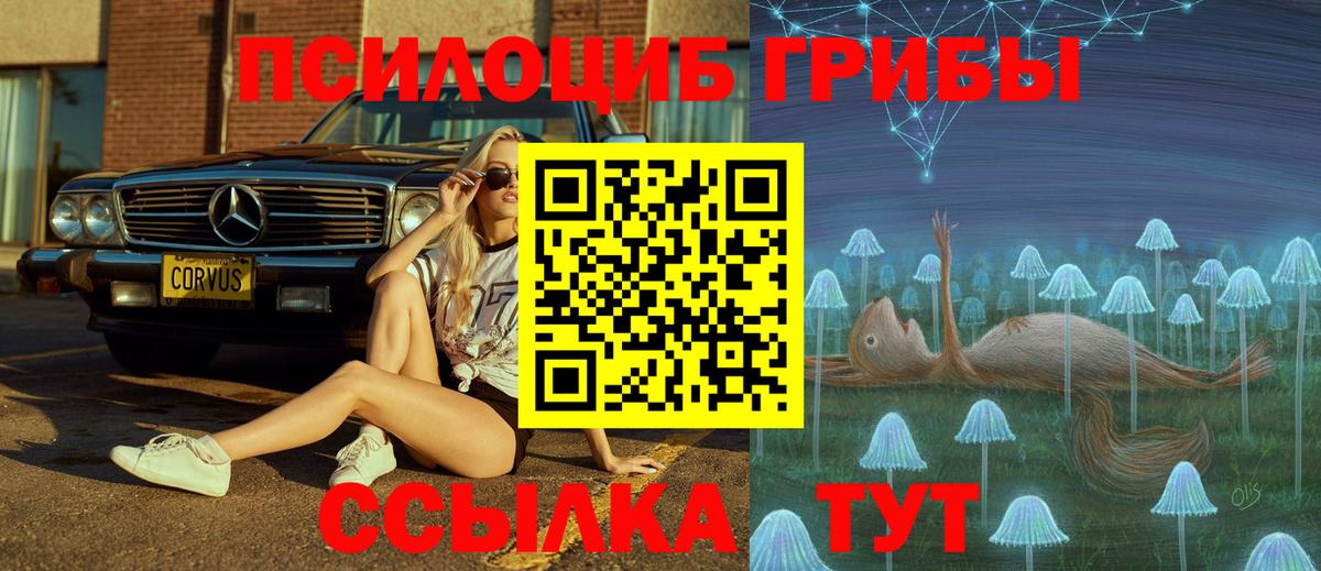 Артём  Псилоцибиновые грибы MAGIC MUSHROOMS  Вход с VPN 